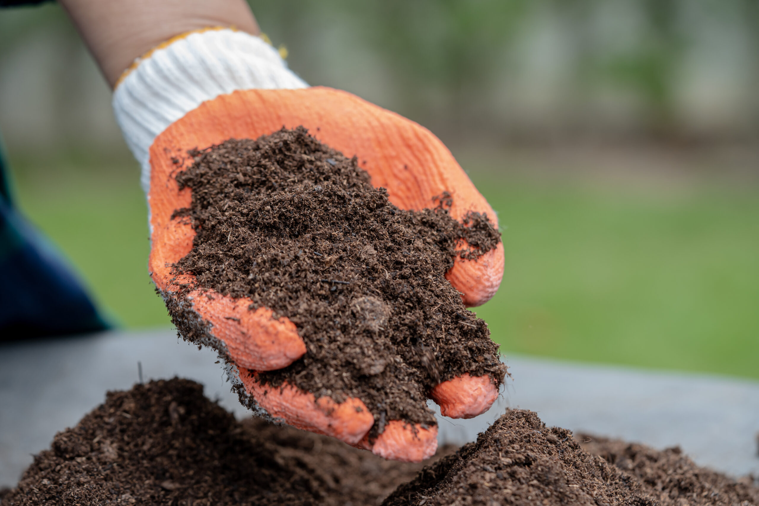 Torfverwendung im Garten Was Sie Wissen Müssen heiminfo.de