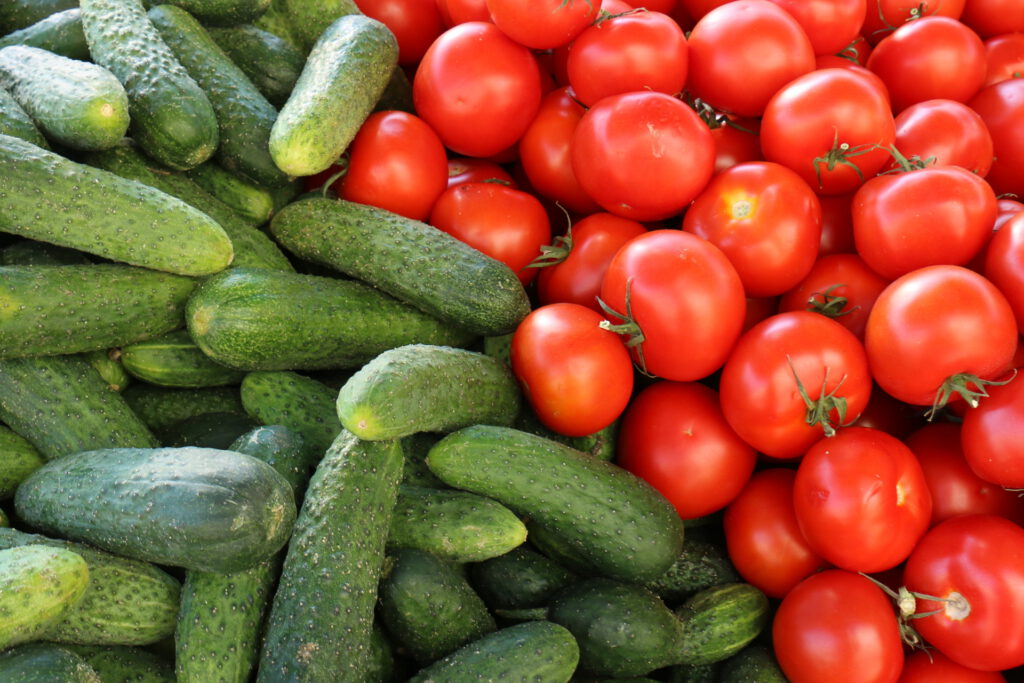Gurken und Tomaten zusammen pflanzen: Die besten Nachbarn im Garten ...