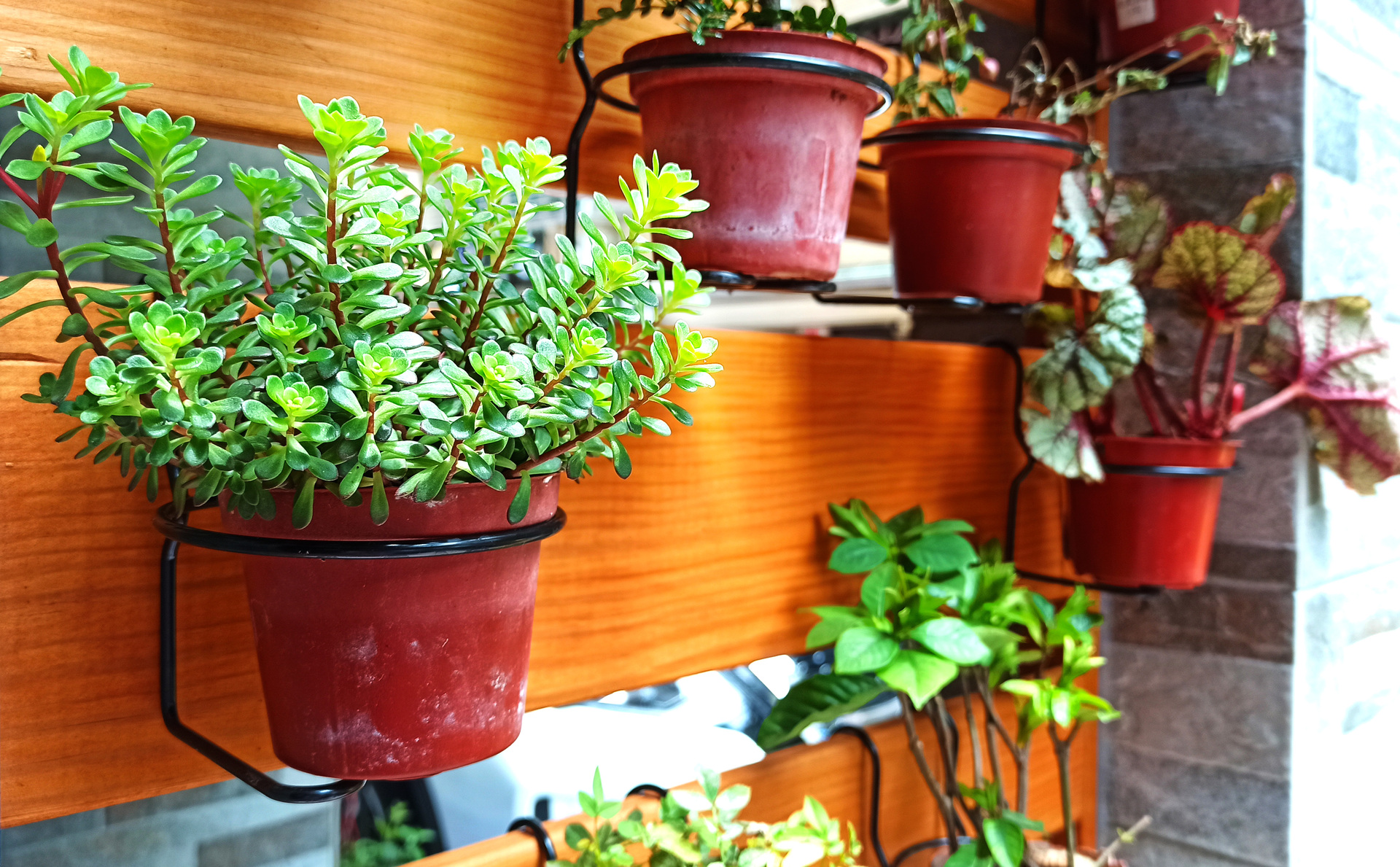Wie man einen Garten gestaltet Tipps für Anfänger und Fortgeschrittene
